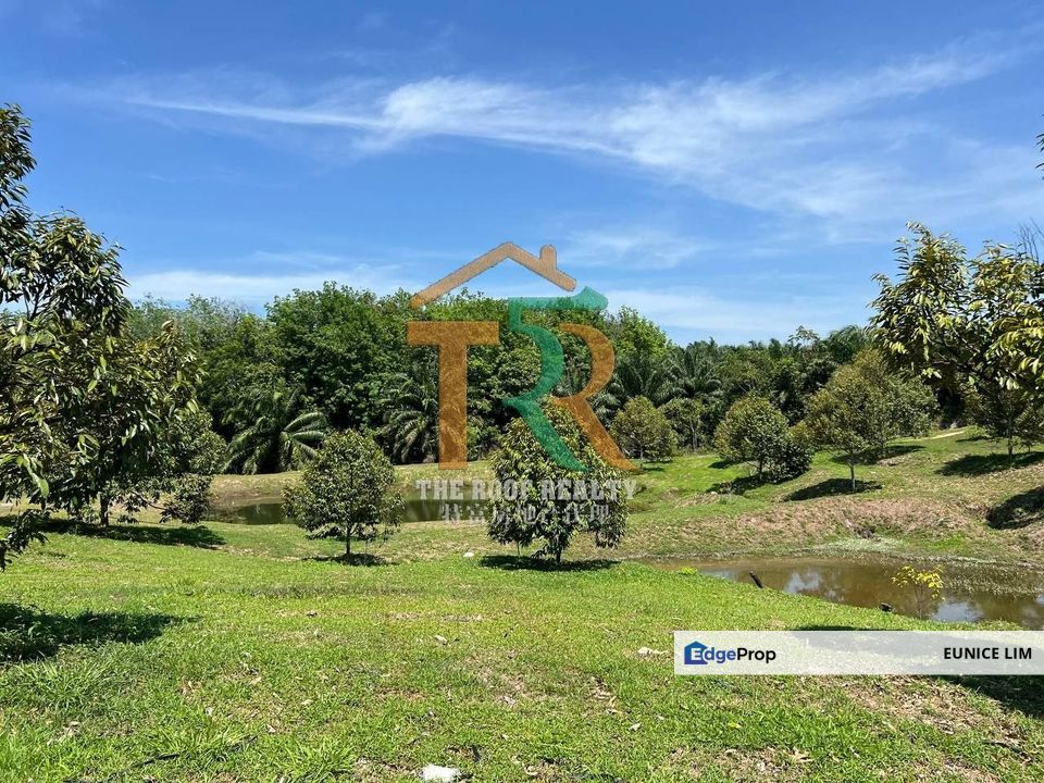 Agriculture Land 36 acres Durian Farm (Musang King & Black Thorn) For Sale, Jasin, Melaka, Melaka, Jasin