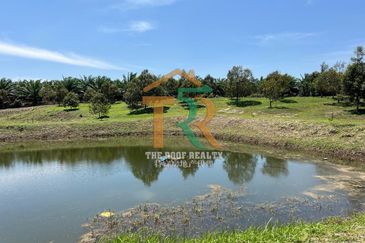 Agriculture Land 36 acres Durian Farm (Musang King & Black Thorn) For Sale, Jasin, Melaka