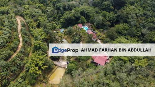 HUGE LIVING Jungle Retreat, Batang Kali, Selangor, Selangor, Batang Kali