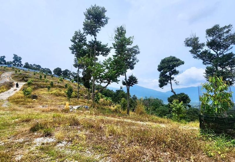 Sungai Lalang, Bukit Semenyih - Scenic High Hill Agri Land with Nice View - 9.16 Acres Freehold