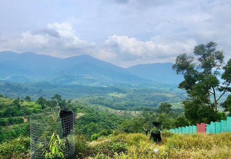 Sungai Lalang, Bukit Semenyih - Scenic High Hill Agri Land with Nice View - 9.16 Acres Freehold