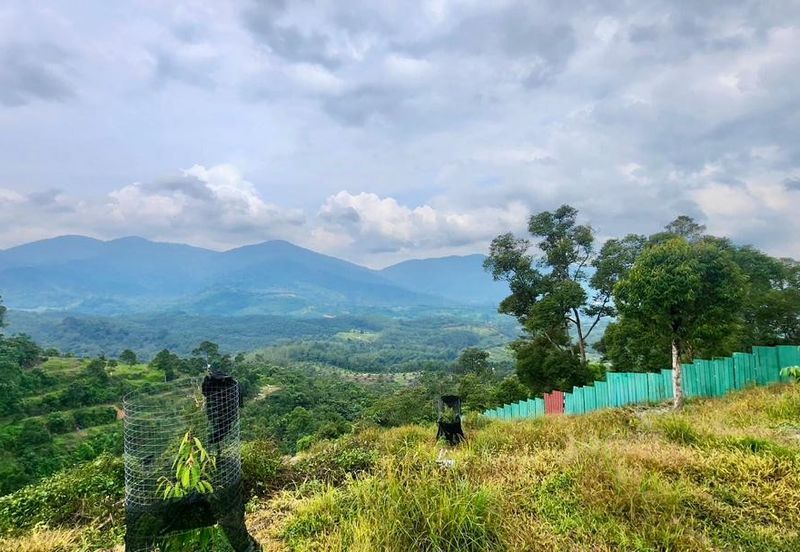 Sungai Lalang, Bukit Semenyih - Scenic High Hill Agri Land with Nice View - 9.16 Acres Freehold