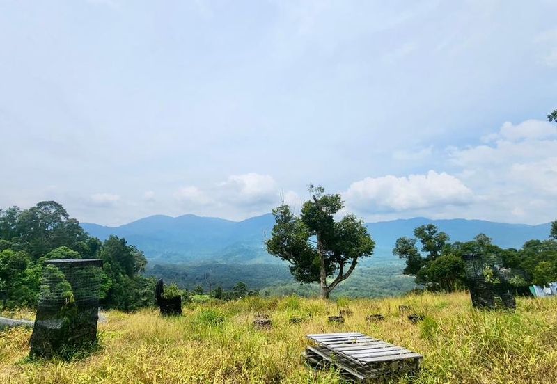 Sungai Lalang, Bukit Semenyih - Scenic High Hill Agri Land with Nice View - 9.16 Acres Freehold