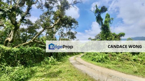 Mantin, Seremban🔥Hot Deal! Mantin Agriculture Land, Freehold, with Durian Trees , Negeri Sembilan, Seremban