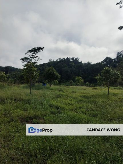 Pahang, Kuala Lipis 9 acres 1 rood Agriculture Land ☘️, Pahang, Kuala Lipis