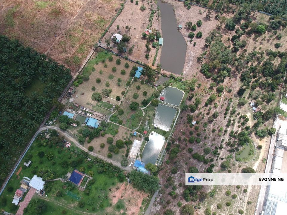 Broga Semenyih 4.7 acres Freehold Agriculture Land Mature Durian Tree Fish Pond  , Selangor, Semenyih