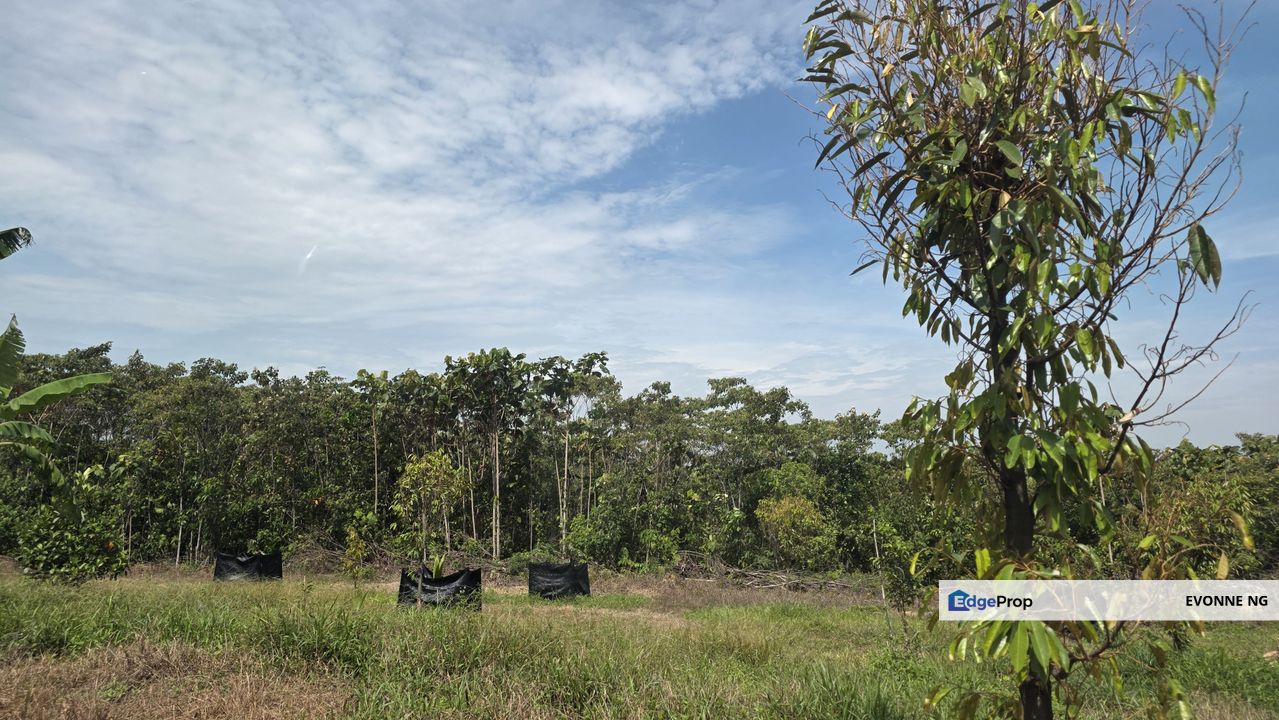 Broga Agricultural Land 4.15 acres  , Selangor, Semenyih