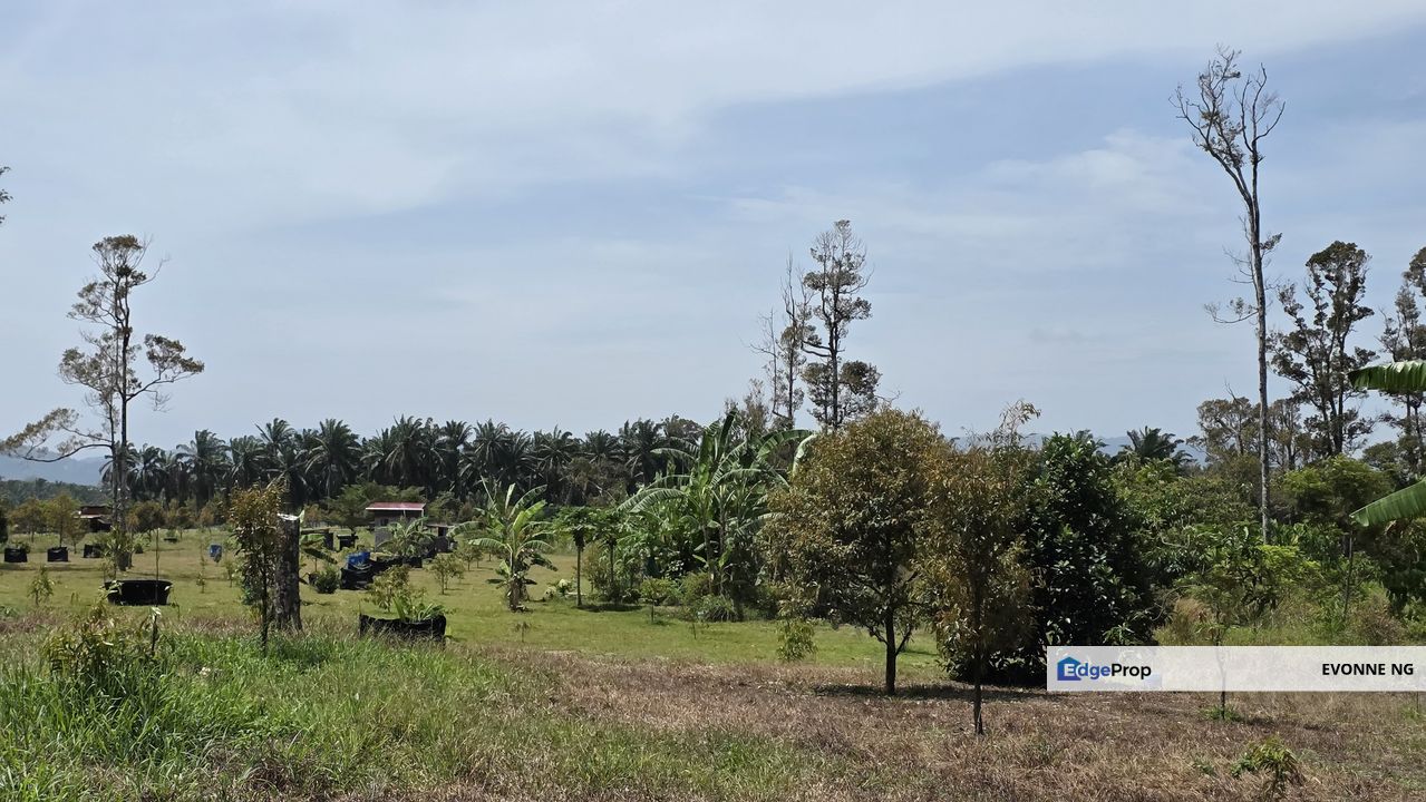 Broga Agricultural Land 4.15 acres  , Selangor, Semenyih