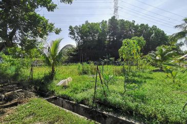 Seksyen 1, Bandar Baru Bangi