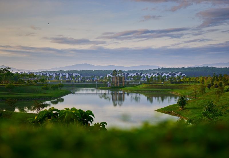 Ebonylane @ Eco Forest