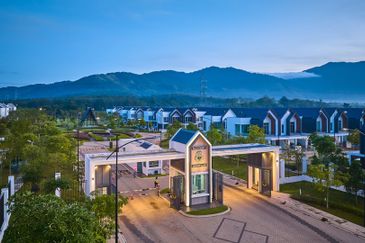 Ebonylane @ Eco Forest