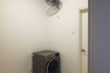 Siphonia @ Chemara Hills