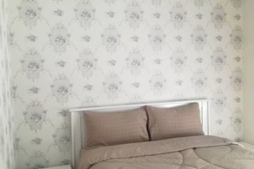 Siphonia @ Chemara Hills