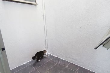 [Freehold & Partial Furnished] Double Storey Terrace, Spira @ Alam Impian, Shah Alam