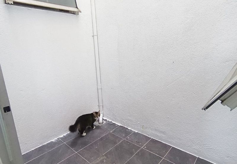 [Freehold & Partial Furnished] Double Storey Terrace, Spira @ Alam Impian, Shah Alam