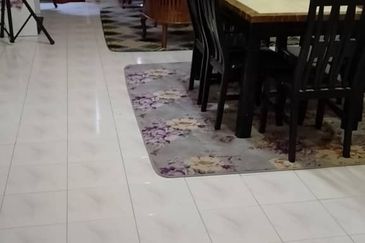 Amazing Height Apartment