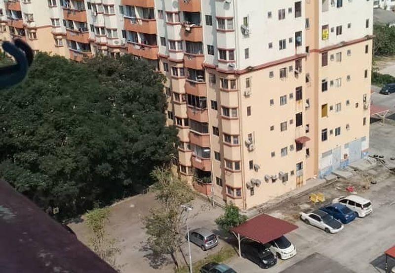 Amazing Height Apartment