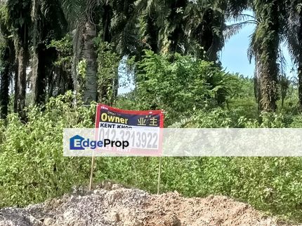 Ipoh country Park Land For Sale at Gopeng Perak, Perak, Gopeng