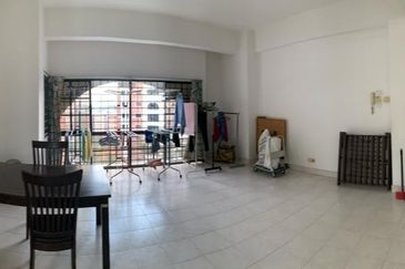 Evergreen Park Scot Pine