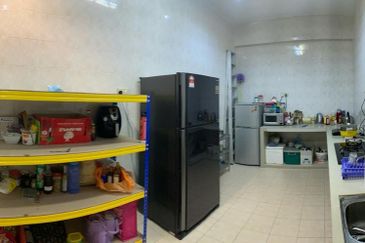 Evergreen Park Scot Pine