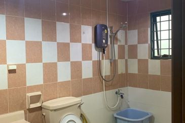 Evergreen Park Scot Pine