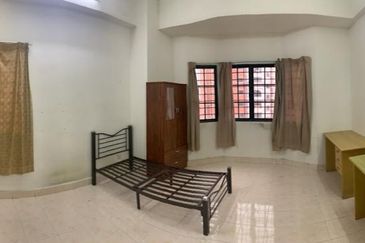 Evergreen Park Scot Pine