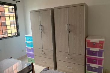 Evergreen Park Scot Pine