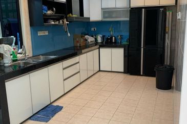 Evergreen Park Scot Pine