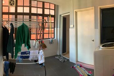 Evergreen Park Scot Pine