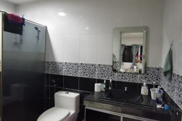 Evergreen Park Scot Pine