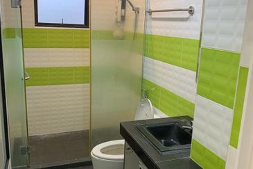 Evergreen Park Scot Pine