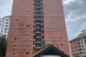 Evergreen Park Scot Pine