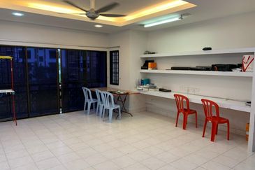 Evergreen Park Scot Pine