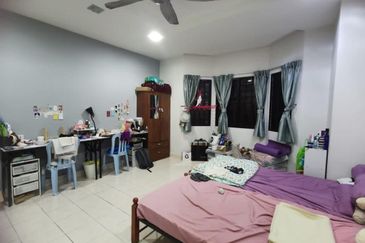 Evergreen Park Scot Pine