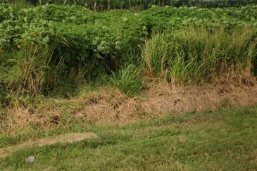 Rawang Integrated Industrial Parks