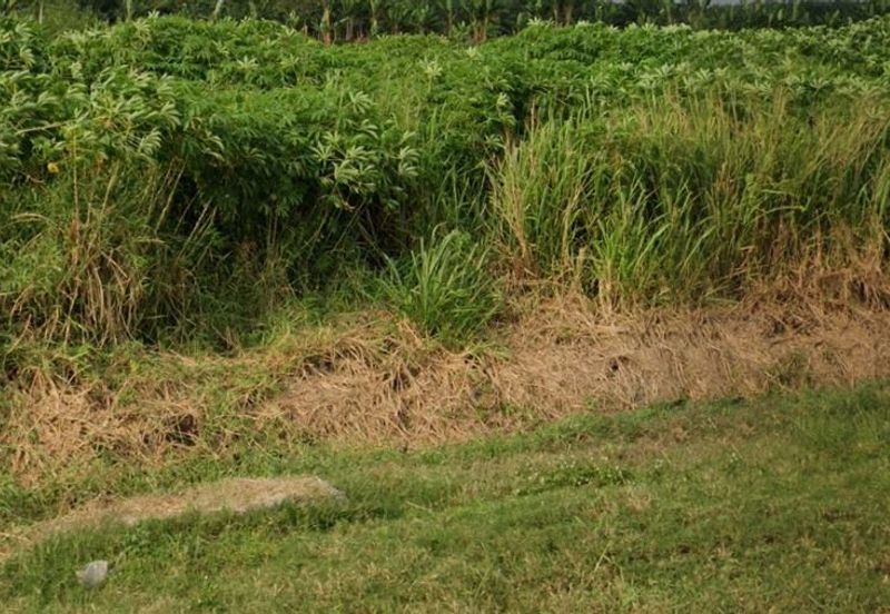 Rawang Integrated Industrial Parks