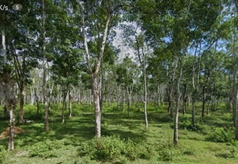 LANGKAWI LAND FOR SALE, BANDAR KUAH, KISAP