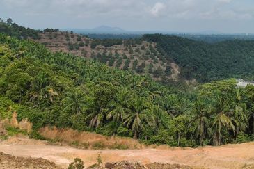 Batu Pahat Parit Sulong Land for sale