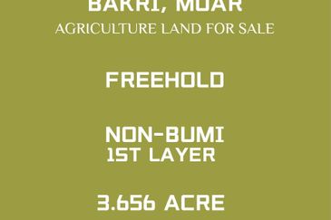 Land for sale, Bakri, Muar