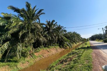 Land for sale, Bakri, Muar