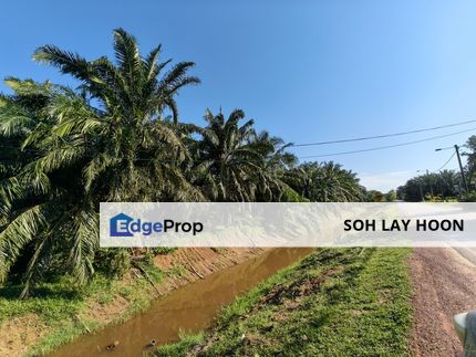 Agriculture Land @ Bakri, Muar 3.656acre, Johor, Muar