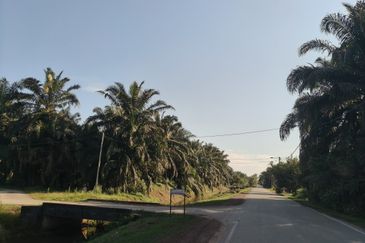 Land for sale, Bakri, Muar