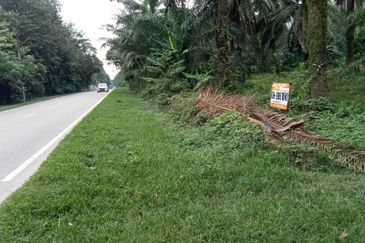 Oil Palm Plantation for Sale - Tangkak