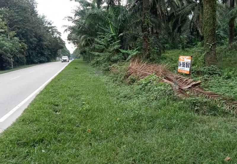 Oil Palm Plantation for Sale - Tangkak