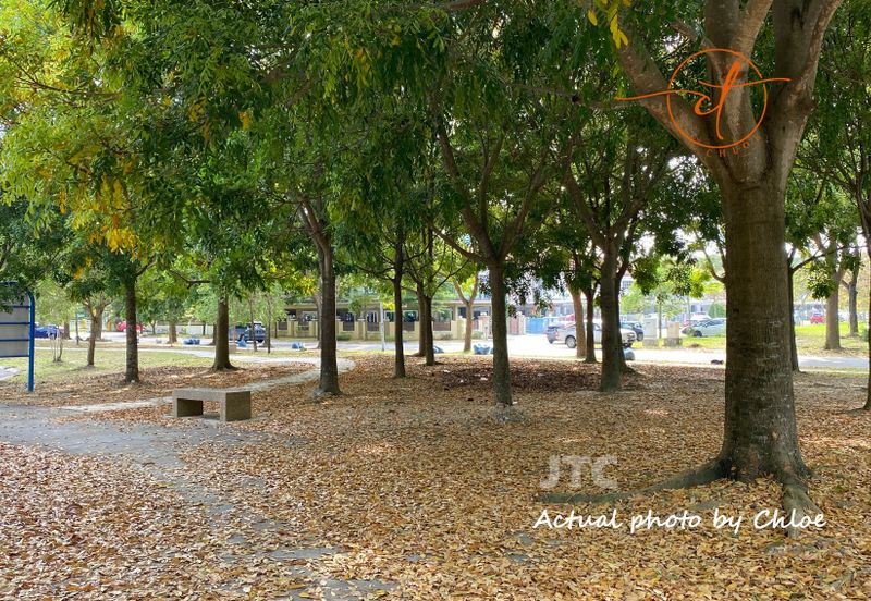 Impian 7, Setia Alam