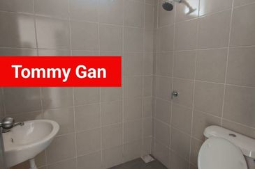 Taman Desa Ara (Ara Kuda)