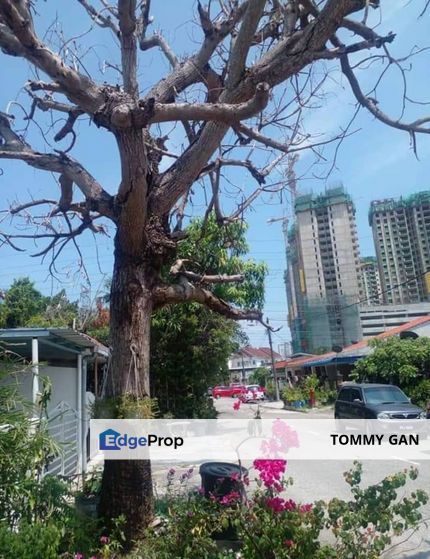 Single Storey Taman Siakap Seberang Jaya Pematang Pauh Build Up 800 SqFt Land Area 1421 SqFt Partial Furnished, Penang, Seberang Jaya