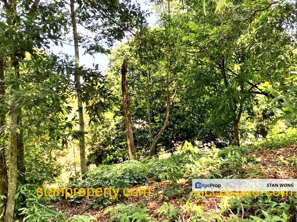 Country Heights Damansara, Kuala Lumpur, Country Heights Damansara