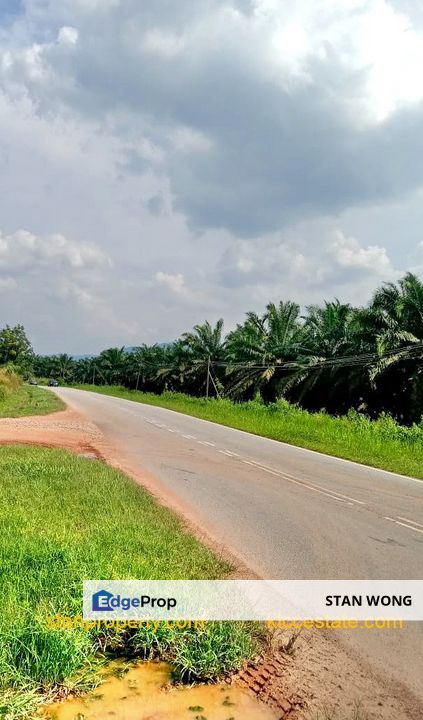 Jelebu Durian Farm For Sale, Negeri Sembilan, Jelebu