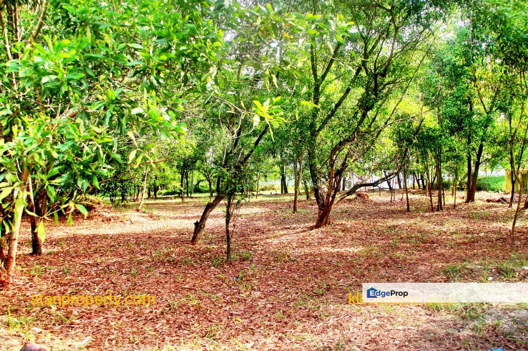 Cheap Bungalow Land , Selangor, Shah Alam